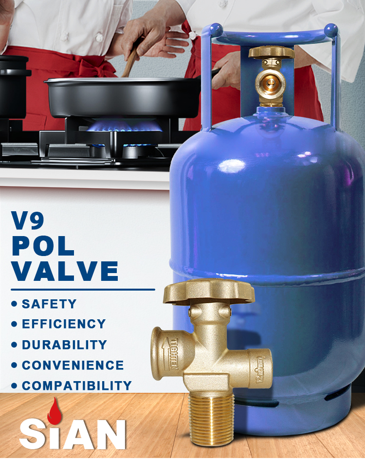 SIAN V9S4 LPGシリンダーポールバルブ（1）