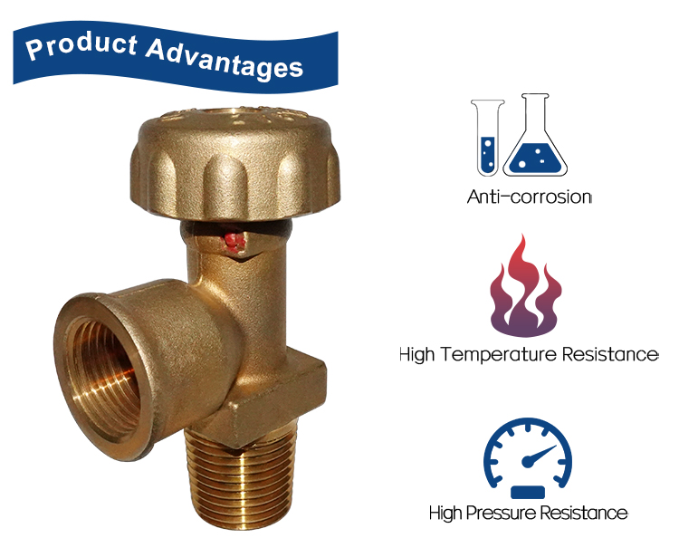 LPGガスポールバルブ（15）