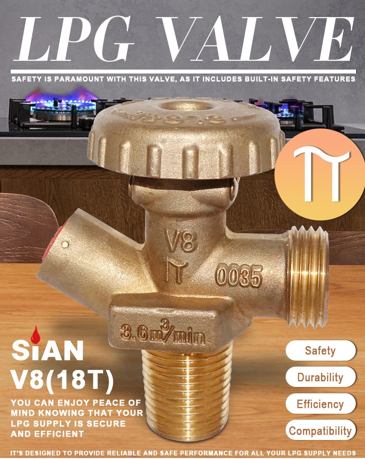 Sian V8 LPGシリンダーバルブ（1）