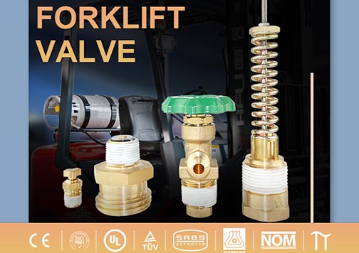 LPG Forklift Valve .jpg