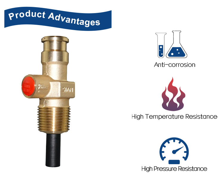 LPGコンパクトバルブ（4）