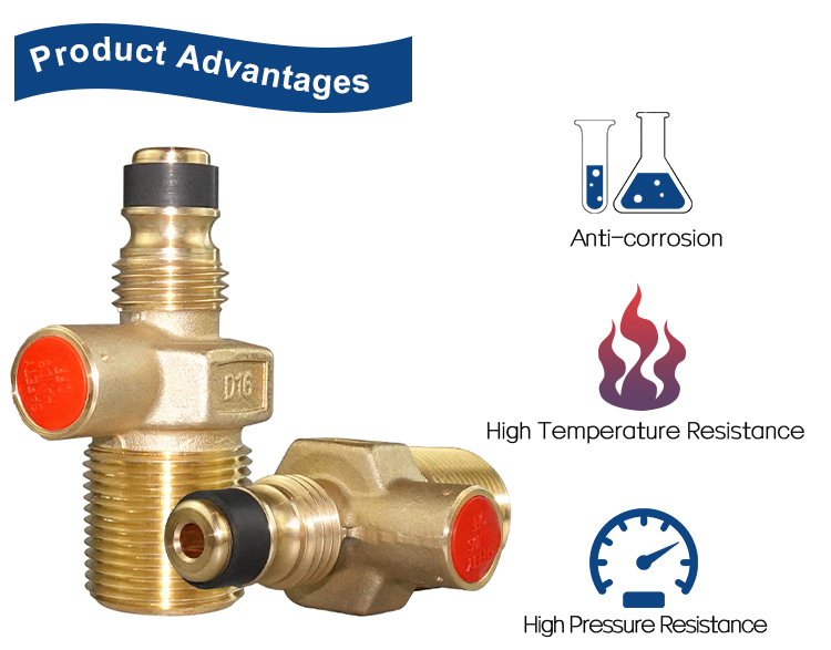 LPG D16ジャンボバルブ（1）